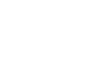 Insight Genie